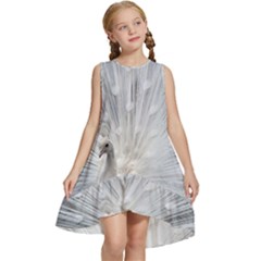 White Feathers, Animal, Bird, Feather, Peacock Kids  Frill Swing Dress