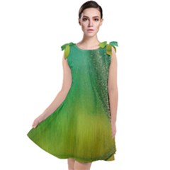 Curved, Hole Tie Up Tunic Dress