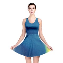 Plus, Curved Reversible Skater Dress