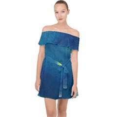 Plus, Curved Off Shoulder Chiffon Dress