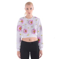 Springpurple Flower On A Purple Background Cropped Sweatshirt