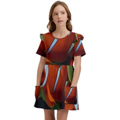 Fish Kids  Frilly Sleeves Pocket Dress