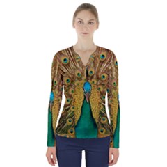Peacock Feather Bird Peafowl V-neck Long Sleeve Top