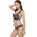 Catherine Spalace St Petersburg Low Cut Ruffle Edge Bikini Set View2