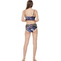 Authentic Aboriginal Art - Discovering Your Dreams Frilly Bikini Set View2