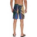 Seahorse Pattern Nature Sea Animal Men s Beach Shorts View4