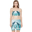 Dolphin Sea Ocean Stretch Shorts and Tube Top Set View1
