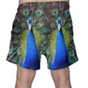 Peacock Bird Feathers Pheasant Nature Animal Texture Pattern Men s Shorts View2