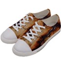 Texture Woodgrain Pattern Nature Wood Pattern Men s Low Top Canvas Sneakers View2