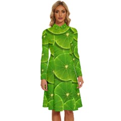Lime Textures Macro, Tropical Fruits, Citrus Fruits, Green Lemon Texture Long Sleeve Shirt Collar A-line Dress