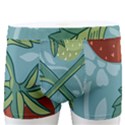 Spring Time Men s Boxer Briefs View1