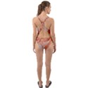 Peach Fuzz Elegant Print Abstract Design Cut-Out Back One Piece Swimsuit View2
