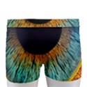Eye Bird Feathers Vibrant Men s Boxer Briefs View4
