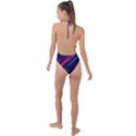 Colorful Abstract Background Backless Halter One Piece Swimsuit View2