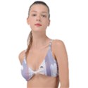 Emilia Rezero Knot Up Bikini Top View1