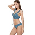 White And Blue Brick Wall Low Cut Ruffle Edge Bikini Set View2