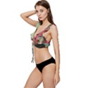 Backgrounds Multi Colored Abstract Low Cut Ruffle Edge Bikini Top View2