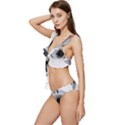 Washing Machines Home Electronic Low Cut Ruffle Edge Bikini Set View2