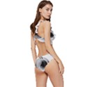 Washing Machines Home Electronic Low Cut Ruffle Edge Bikini Set View3