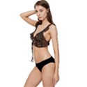 Books Library Low Cut Ruffle Edge Bikini Top View2
