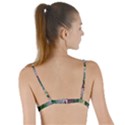 Illustrations Color Cat Flower Abstract Textures Tie Up Cut Bikini Top View2