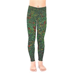 Grass Nature Meadow Kids  Leggings