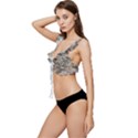 Fossilized Seashell Texture Print Design Bk Low Cut Ruffle Edge Bikini Top View2