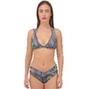 Peacock Bird Feathers Plumage Peacock Double Strap Halter Bikini Set View1