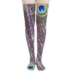 Peacock Bird Feathers Plumage Peacock Thigh High Stockings