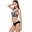 White Birch Trees Autumn Low Cut Ruffle Edge Bikini Top View2