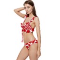 Flower Poppies Plant Petal Low Cut Ruffle Edge Bikini Set View2