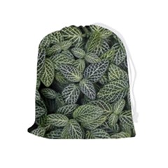 Leaves Foliage Botany Plant Drawstring Pouch (xl)