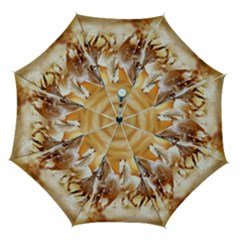 Seven Horses, Sun Automatic Folding Umbrella With Case (medium)