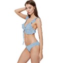 Blue Denim Texture, Macro Low Cut Ruffle Edge Bikini Set View2