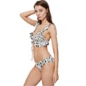 Bottle Chic Print Patterns Low Cut Ruffle Edge Bikini Set View2