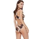 Giraffe Skin Texture Low Cut Ruffle Edge Bikini Set View3