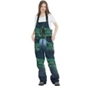 Jungle Road Hawaii Asphalt Mountains Green Women s Front Zip Ski And Snowboard Bib Pants View2
