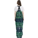 Jungle Road Hawaii Asphalt Mountains Green Women s Front Zip Ski And Snowboard Bib Pants View4