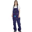 Realistic Night Sky Poster With Constellations Women s Front Zip Ski And Snowboard Bib Pants View1