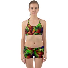 Splash Back Web Gym Set