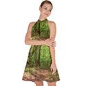 Peaceful Green Forest Walk Sleeveless Halter Neck A-Line Dress View2