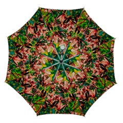 Abstract Floral Artwork Automatic Folding Umbrella With Case (medium)
