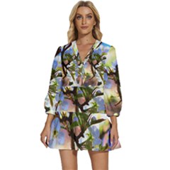 Springtime Pear Tree Blossoms V-neck Placket Mini Dress