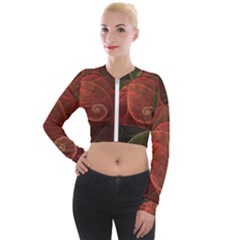 Falupadupe Long Sleeve Cropped Velvet Jacket