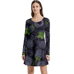 Blackberry Fruit, Fruit Long Sleeve Velour Skater Dress