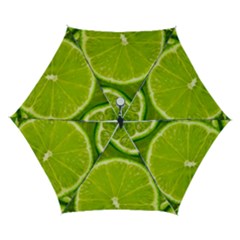 Lime Slices Close Up, Fresh, Fruit, Green Lemon Automatic Folding Umbrella With Case (small)