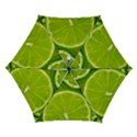 Lime Slices Close Up, Fresh, Fruit, Green Lemon Automatic Folding Umbrella with Case (Small) View1