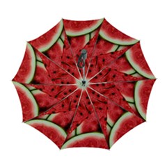 Watermelon, Fruit, Green, Red Automatic Folding Umbrella With Case (large)