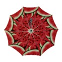 Watermelon, Fruit, Green, Red Automatic Folding Umbrella with Case (Large) View1