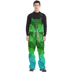 3d Leaves Texture Sheet Blue Green Men s Front Zip Ski And Snowboard Bib Pants
